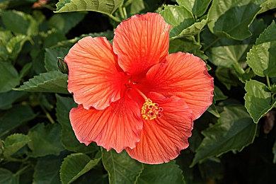 视觉小说剧情游戏《BURN》现已在Steam平台推出试玩Demo 计划于8月9日发行